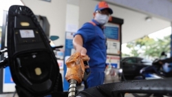 Giá xăng dầu giảm sau 7 lần tăng liên tiếp