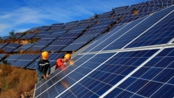 Bộ Công thương tiếp tục lập 3 đoàn kiểm tra các dự án điện mặt trời
