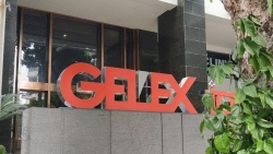 Tập đoàn GELEX lên tiếng về những tin đồn khiến cổ phiếu lao dốc