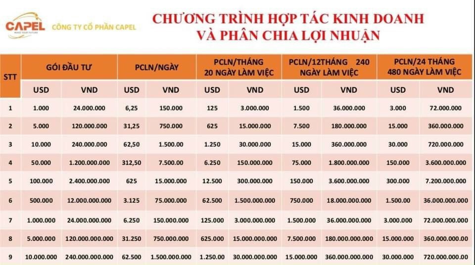 Cẩn trọng với chiêu trò huy động vốn trả lợi nhuận “trên trời” của Công ty Capel