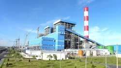 TKV sẽ cấp bù than cho các nhà máy của EVN sản xuất điện