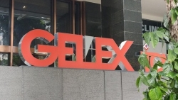 Tập đoàn GELEX sắp chi 1.600 tỷ đồng trả cổ tức và mua lại trái phiếu trước hạn