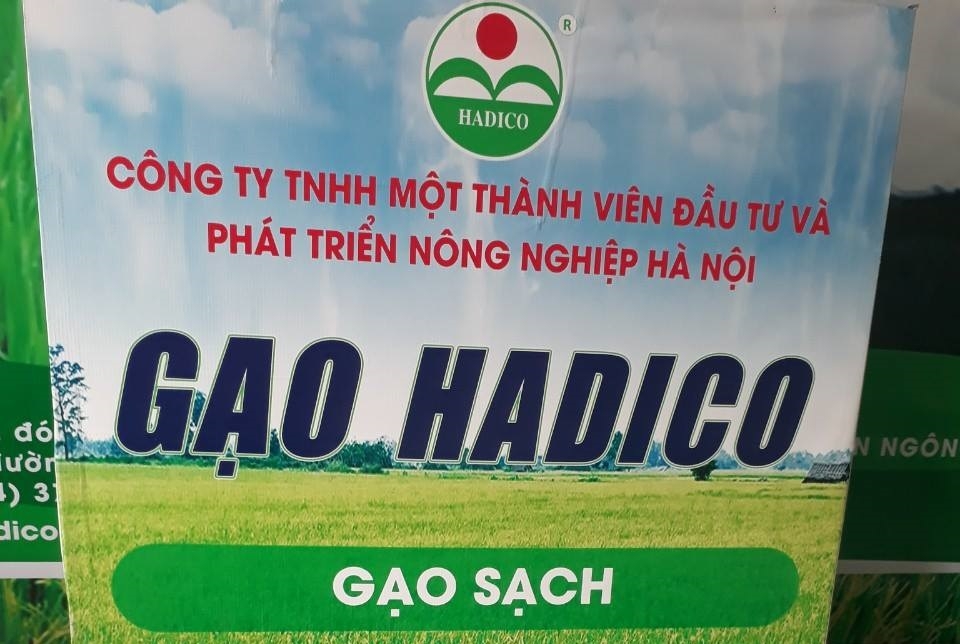 Hơn 1.900 doanh nghiệp nợ thuế ở Hà Nội