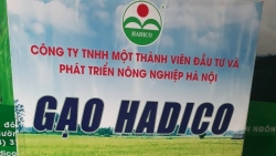 Hơn 1.900 doanh nghiệp nợ thuế ở Hà Nội