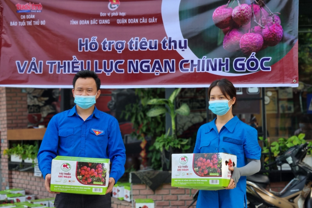 Chi đoàn Báo Tuổi trẻ Thủ đô kết nối, hỗ trợ tiêu thụ vải thiều Bắc Giang