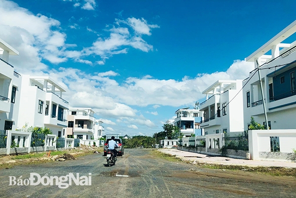 Công ty Đầu tư LDG bị thanh tra dự án xây trái phép gần 500 căn biệt thự