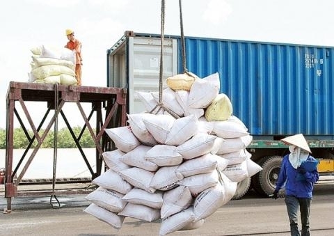 Lo ngại gian lận, Bộ Công thương kiểm tra 5 doanh nghiệp xuất nhập khẩu gạo