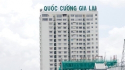 Quốc Cường Gia Lai bị phạt và truy thu thuế gần 2,3 tỷ đồng