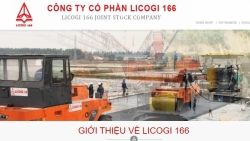 Công ty Cổ phần Licogi 166 bị phạt vì chậm công bố thông tin doanh nghiệp