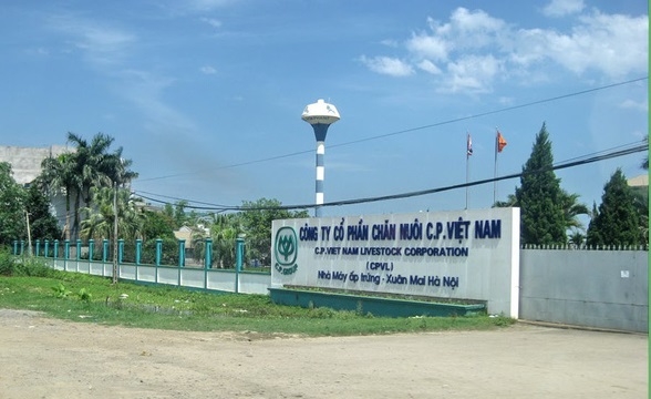 “Ông lớn” chăn nuôi C.P Việt Nam bị truy thu thuế 138 tỷ đồng