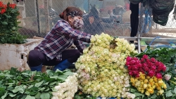Hỗ trợ tiêu thụ 100 triệu cành hoa ở Lâm Đồng