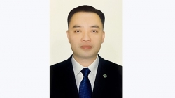 Thủ tướng bổ nhiệm Phó Chủ tịch chuyên trách Hội đồng quản lý BHXH Việt Nam