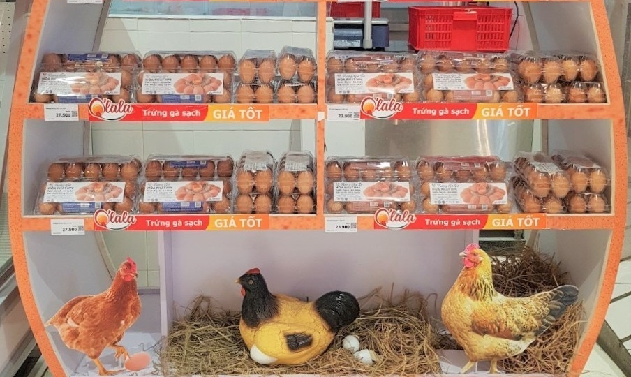 Hòa Phát cung cấp trứng gà sạch cho hơn 100 siêu thị, cửa hàng ở Hà Nội
