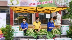 Đồng giá “ship” na Lạng Sơn đến 20 tỉnh, thành phố phía Bắc