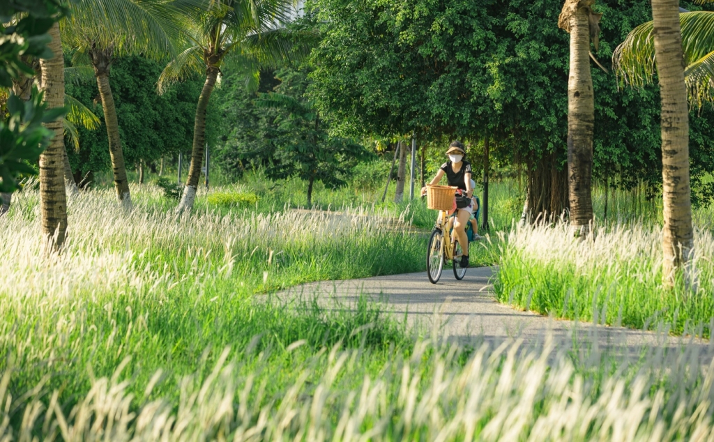 Khu đô thị nói không với những cung đường, vỉa hè bê tông tại Việt Nam