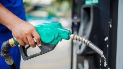 Ngày mai, giá xăng dầu dự báo giảm mạnh