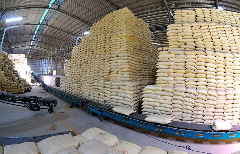 Giá gạo xuất khẩu của Việt Nam xuống thấp kỷ lục