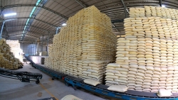Giá gạo xuất khẩu của Việt Nam xuống thấp kỷ lục