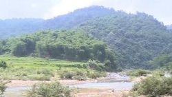 Thanh Hóa:  Phê duyệt phương án nộp tiền trồng rừng sang dự án Thủy điện Sông Âm