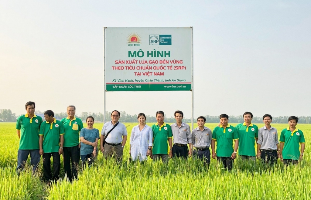 Tập đoàn Lộc Trời cam kết gạo xuất khẩu đảm bảo chất lượng cao nhất
