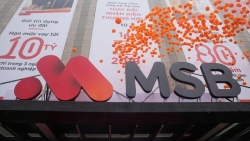 Hành động lạ của Công ty Cổ phần May - Diêm Sài Gòn khi “lướt sóng” cổ phiếu MSB