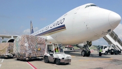 Cục Hàng không chính thức hướng dẫn IPP Air Cargo nộp hồ sơ thành lập hãng hàng không