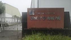 Xử phạt Công ty Cổ phần Hưng Phú, Hestia và Vinavico vi phạm chứng khoán