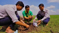 Lộc Trời chi 180 tỷ hướng dẫn nông dân dùng thuốc bảo vệ thực vật