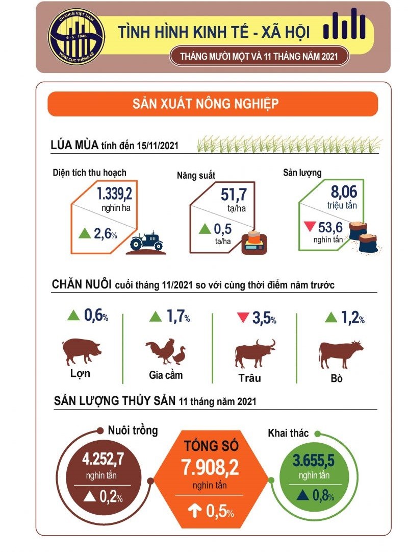 Toàn cảnh kinh tế - xã hội Việt Nam 11 tháng năm 2021