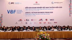 Chủ tịch VCCI Vũ Tiến Lộc: “Việt Nam đã thành công trong giông bão”