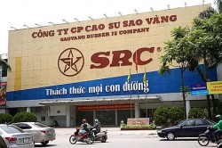 Tập đoàn Hoành Sơn bị phạt nặng vụ thâu tóm "chui" cổ phần Cao su Sao Vàng