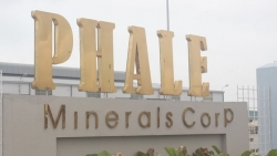 Nhựa Pha Lê (PLP) bị phạt vi phạm pháp luật về thuế hơn 600 triệu đồng