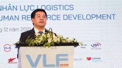 Logistics là những “mạch máu” của nền kinh tế