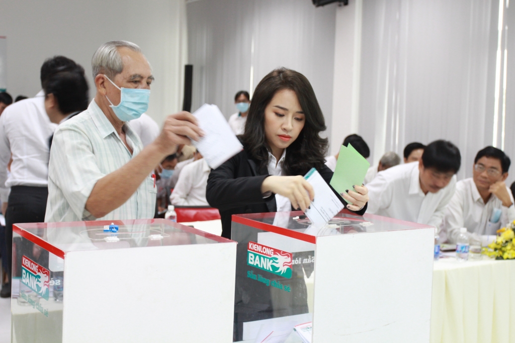 Cổ đông bỏ phiểu biểu quyết (2)
