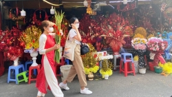 Hoa xuân khoe sắc trên đường phố TP Hồ Chí Minh