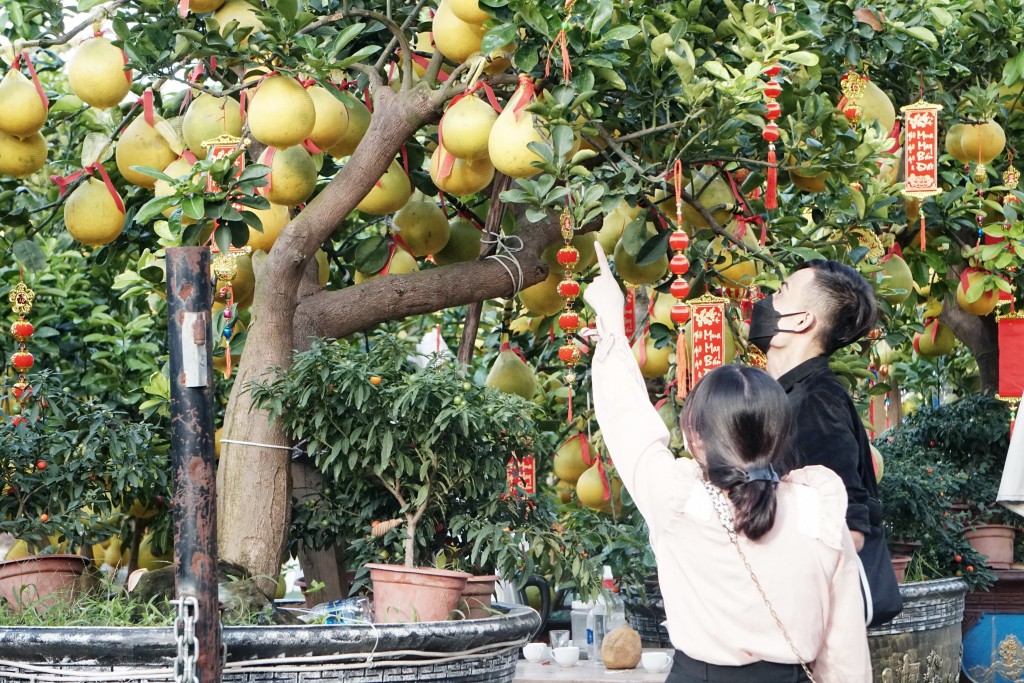 2.	Bưởi Diễn được nhiều người dân TP Hồ Chí Minh tìm kiếm và đặt mua