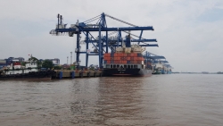 TP Hồ Chí Minh: Kinh tế trên đà hồi phục, xuất nhập khẩu tăng trưởng ấn tượng