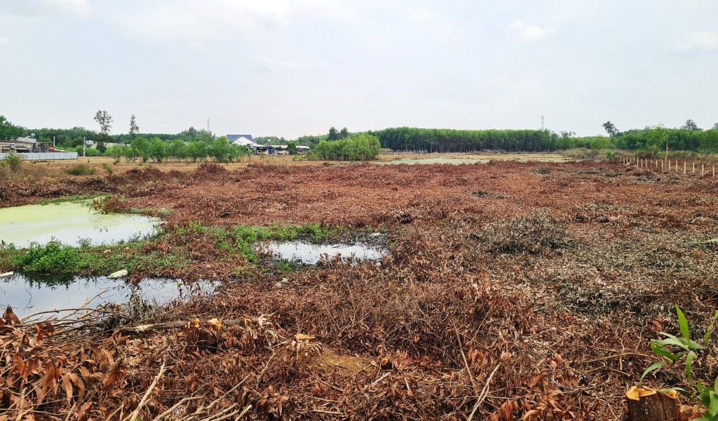 Dự án KDC Bàu Cạn hiện đang là bãi đất trống