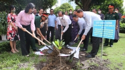TP Hồ Chí Minh trồng cây bàng vuông do chiến sĩ, Nhân dân huyện đảo Trường Sa gửi tặng