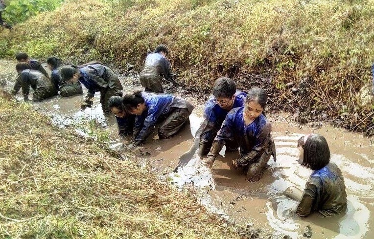 Đi bắt cá trong ao đìa là một trải nghiệm đáng nhớ