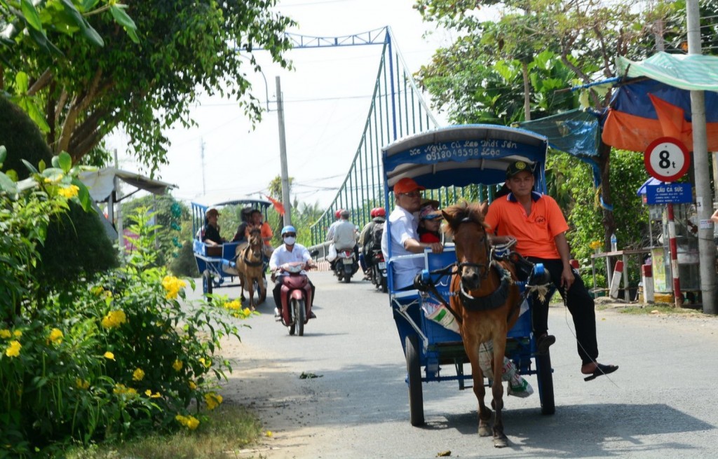 Tham quan cồn bằng xe ngựa tại Cấn Thơ