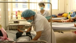 TP Hồ Chí Minh đã có 9 trường hợp tử vong do sốt xuất huyết