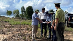 Phú Quốc: Ra quân xử lý mạnh tay vi phạm về đất đai, lâm nghiệp và xây dựng