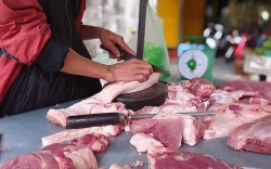 TP HCM ngăn chặn vận chuyển lợn và các sản phẩm từ lợn trái phép