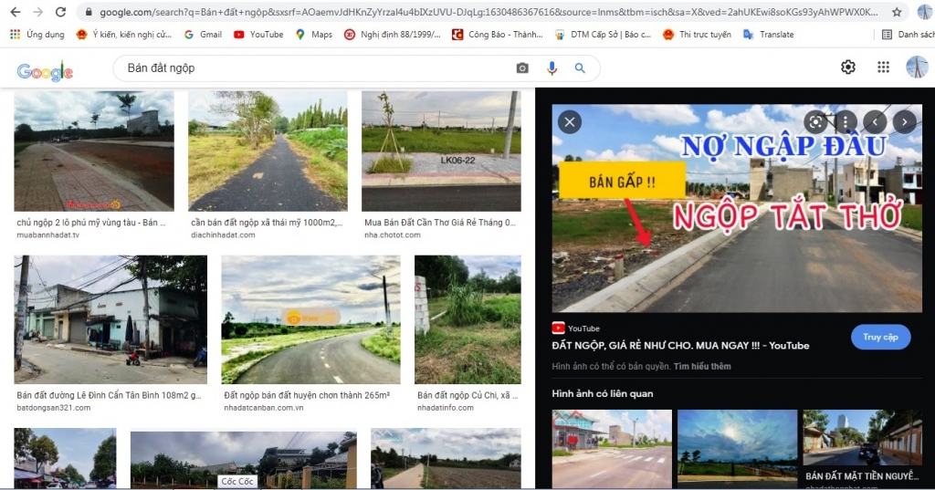 trên nhiều trang web, các ứng dụng mua bán nhà đất, việc rao bán BĐS cắt lỗ, đất “ngộp”