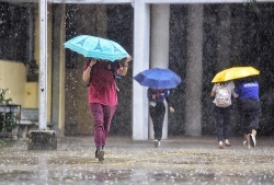 Trong 5 ngày tới, các tỉnh Nam Bộ mưa gió phức tạp