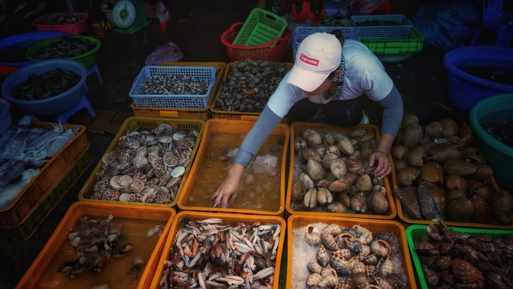 Chợ Lưới ở Hồ Tràm là địa chỉ bạn có thể tìm mua nhiều loại hải sản tươi sống với giá cả phải chăng