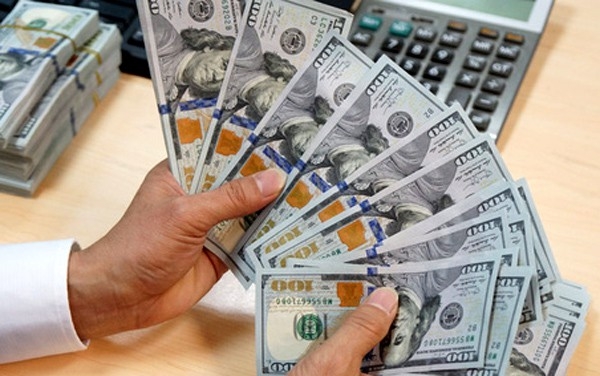 Kiều hối là nguồn lực quan trọng để phát triển đất nước. Ảnh: Internet
