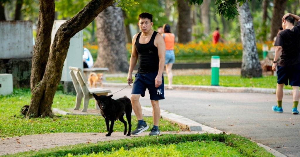 Đảm bảo vùng an toàn, hướng tới Hà Nội không còn bệnh dại