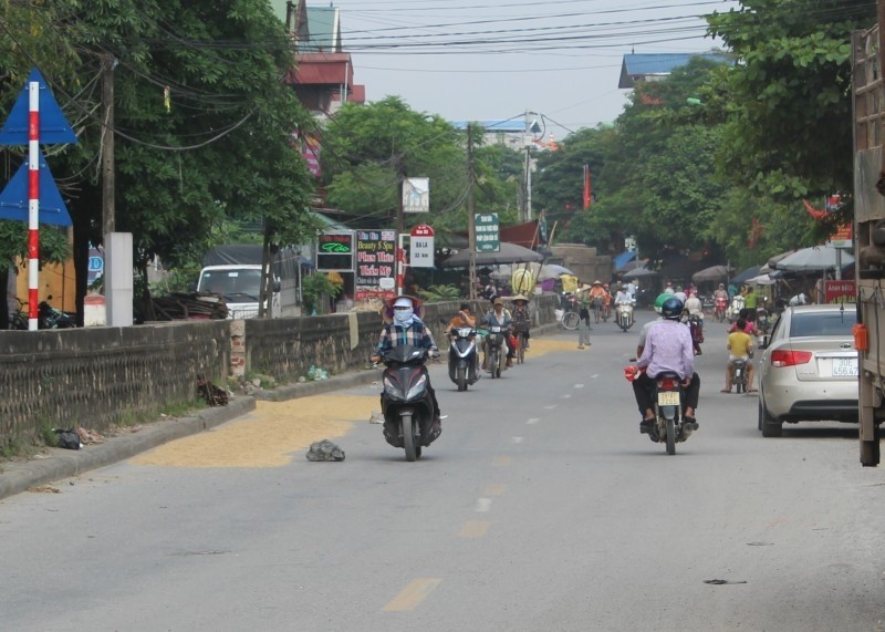 Tiềm ẩn nhiều nguy hiểm với hành vi phơi thóc, lúa trên đường giao thông